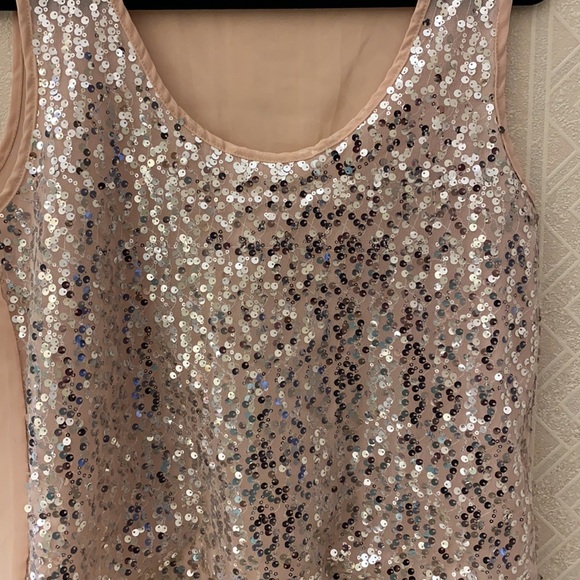 Blush sparkly sequin sheer top - Picture 2 of 7